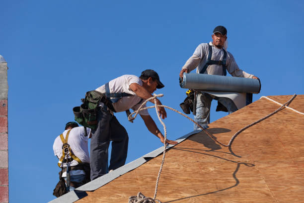 Best Storm Damage Roof Repair  in Olivet, TN