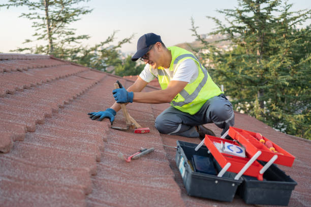 Best Roofing Contractor Near Me  in Olivet, TN